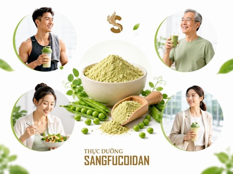 người sử dụng đạm đậu hà lan