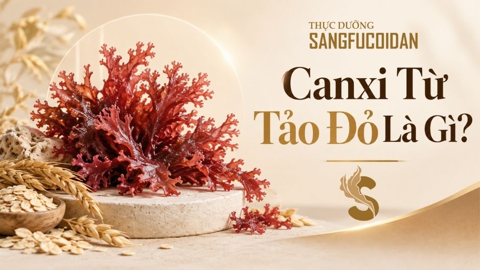 canxi từ tảo đỏ