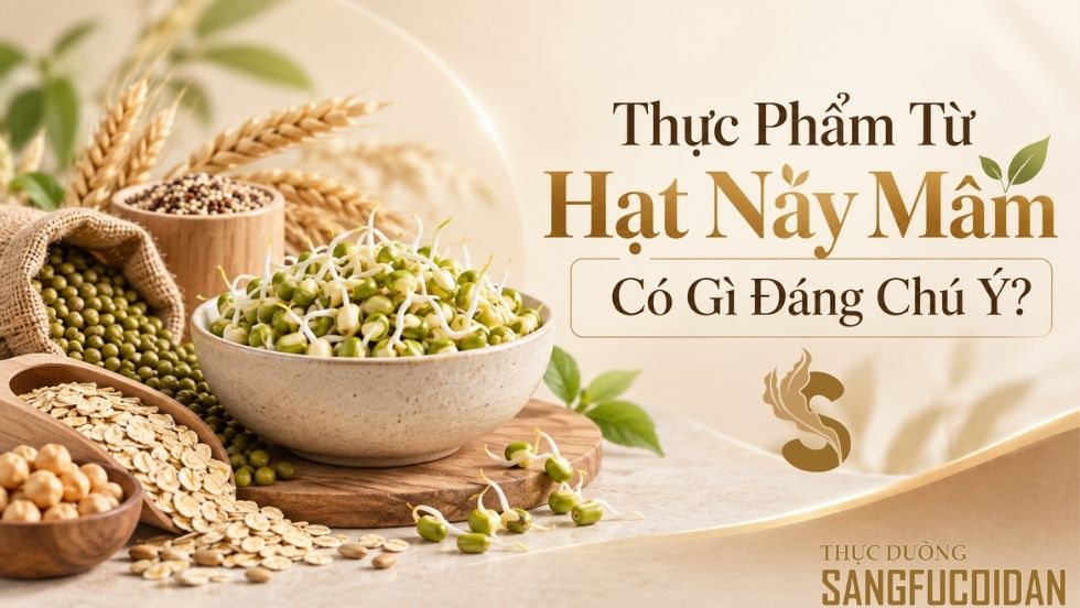 thực phẩm từ hạt nảy mầm