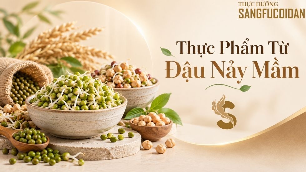 thực phẩm từ đậu nảy mầm