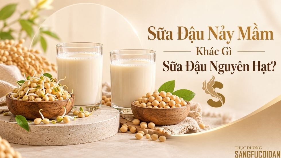 sữa đậu nảy mầm và nguyên hạt