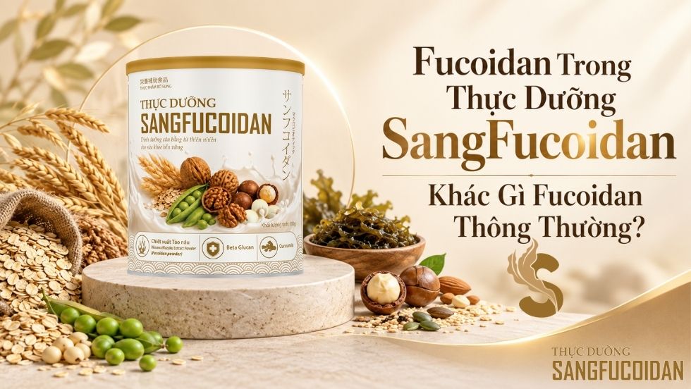 Fucoidan trong thực dưỡng sangfucoidan khác gì fucoidan thông thường