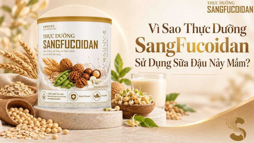 thực dưỡng sangfucoidan sử dụng đậu nảy mầm