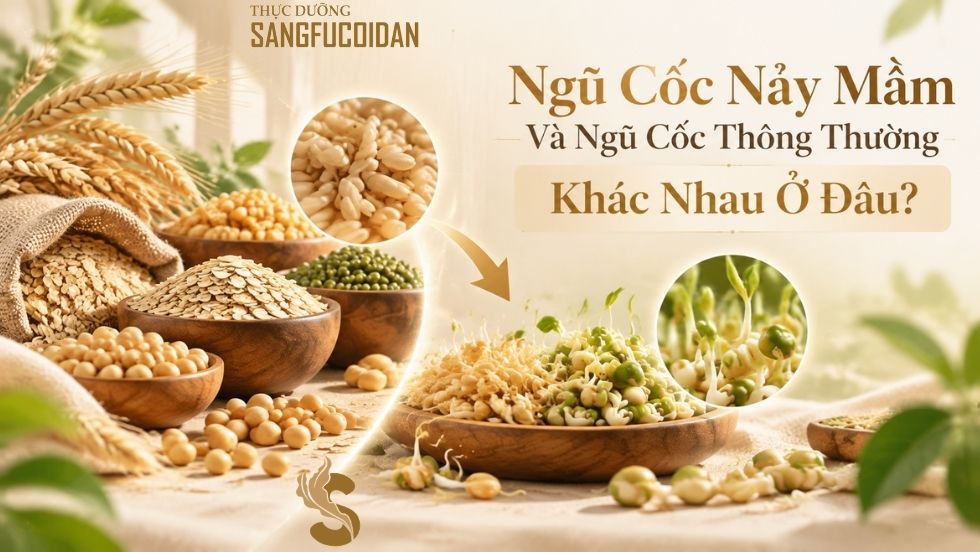 ngũ cốc nảy mầm và nguyên hạt