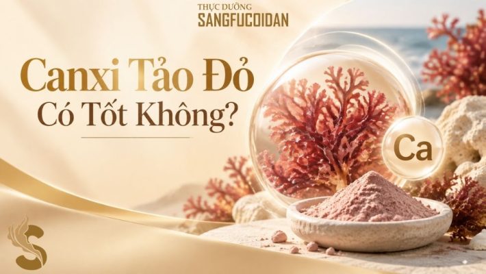 canxi tảo đỏ