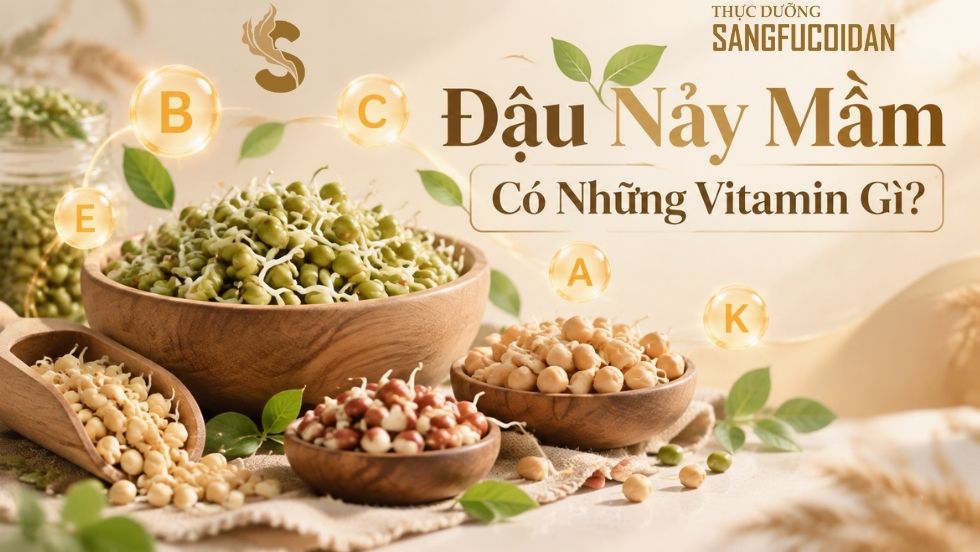 đậu nảy mầm có vitamin gì