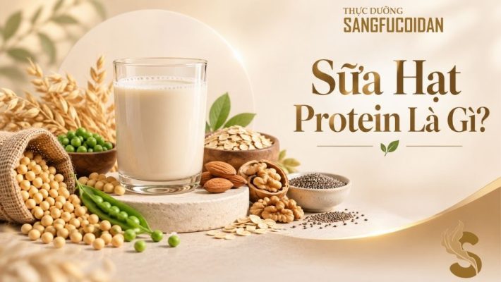 sữa hạt protein