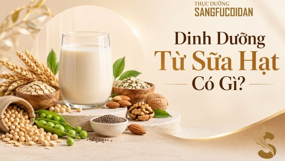 sữa hạt dinh dưỡng