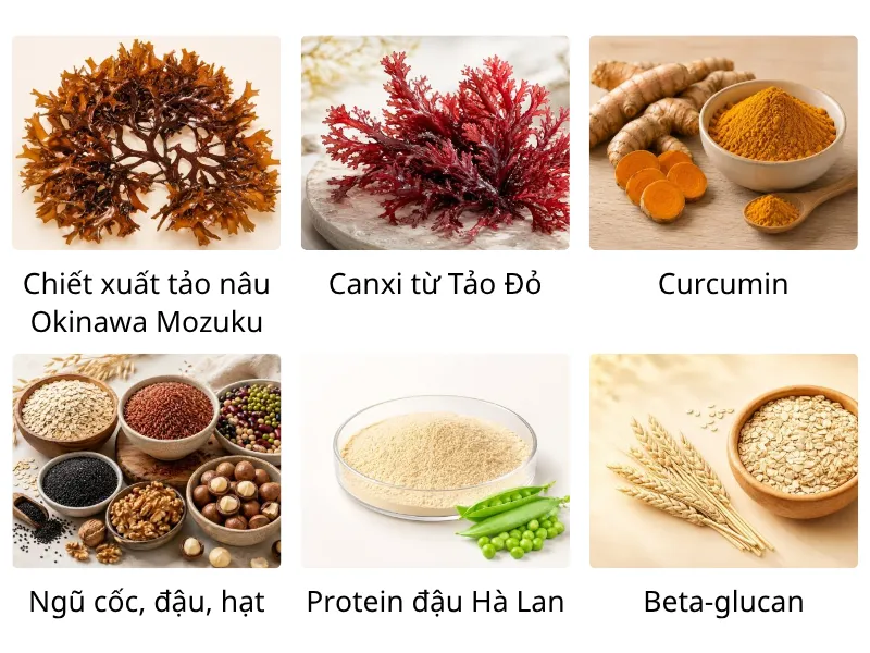 Thành Phần Đặc Biệt